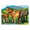 PJL13 | Painting by numbers™ 13pc 11.25" x 15.375" Horses & Foals Painting Project